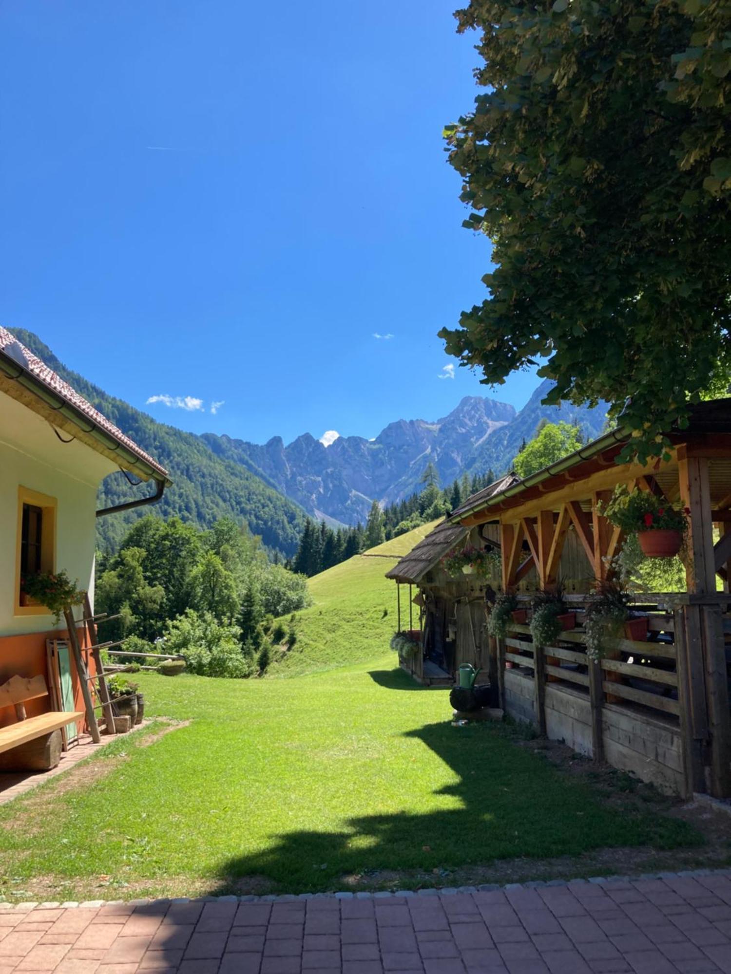 Tourist Farm Gradisnik Leilighet Solčava Eksteriør bilde