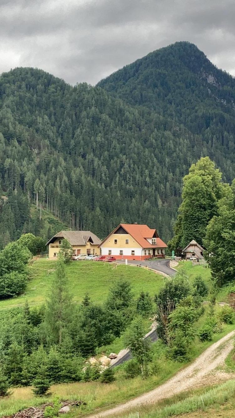 Tourist Farm Gradisnik Leilighet Solčava Eksteriør bilde