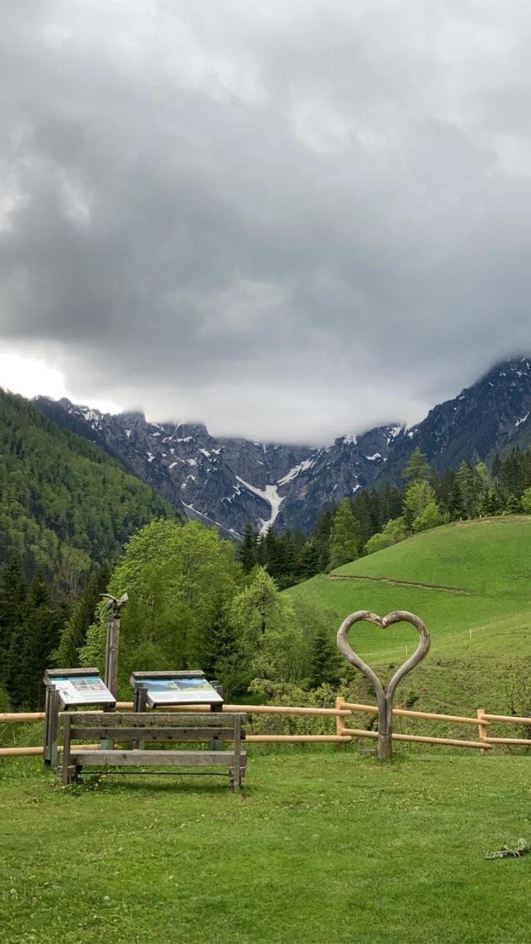 Tourist Farm Gradisnik Leilighet Solčava Eksteriør bilde
