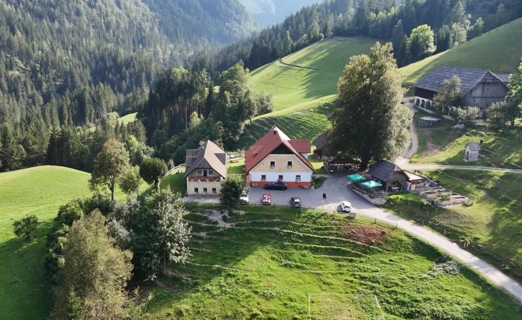 Tourist Farm Gradisnik Leilighet Solčava Eksteriør bilde