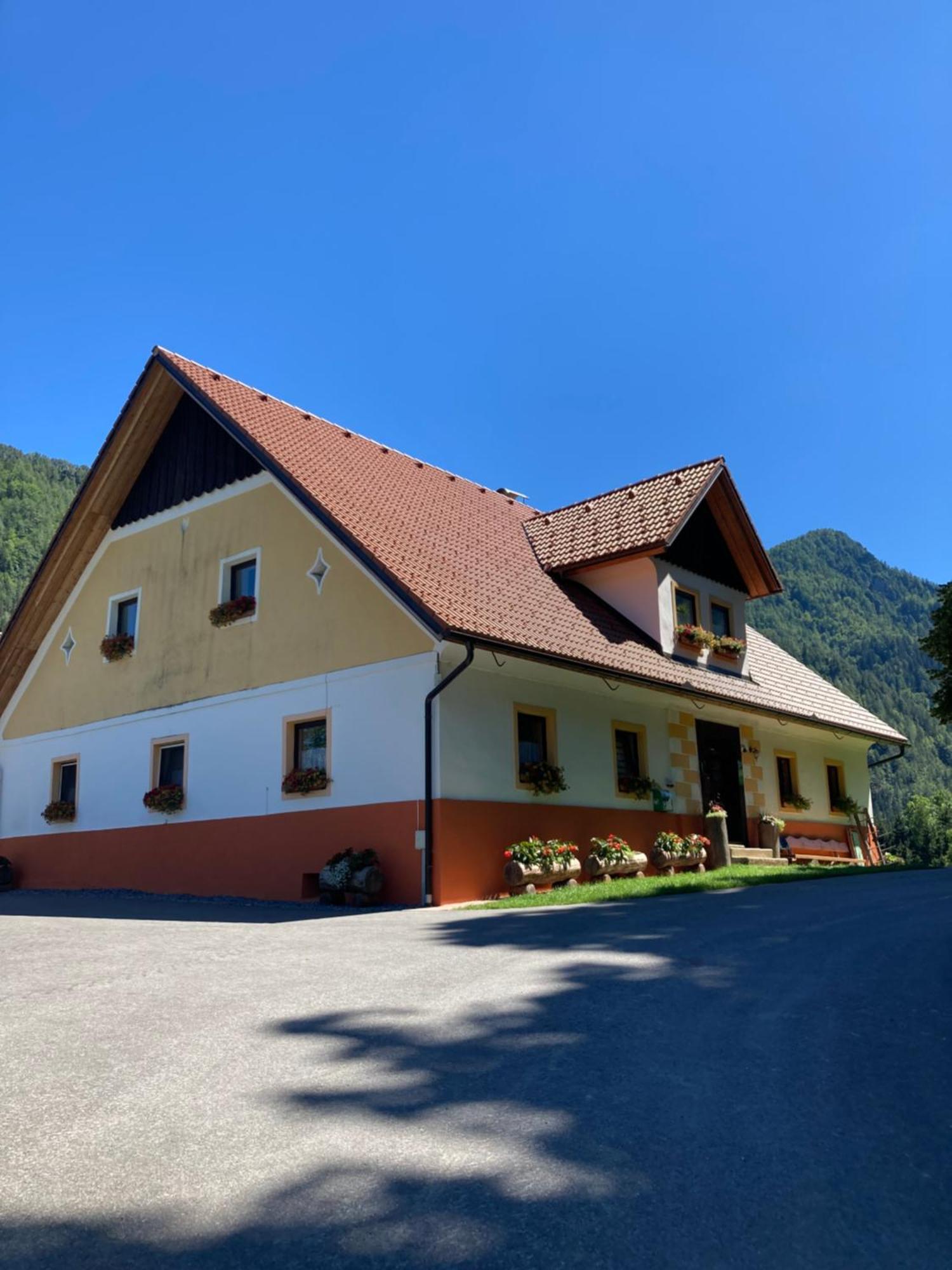 Tourist Farm Gradisnik Leilighet Solčava Eksteriør bilde