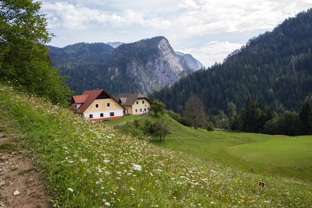 Tourist Farm Gradisnik Leilighet Solčava Eksteriør bilde