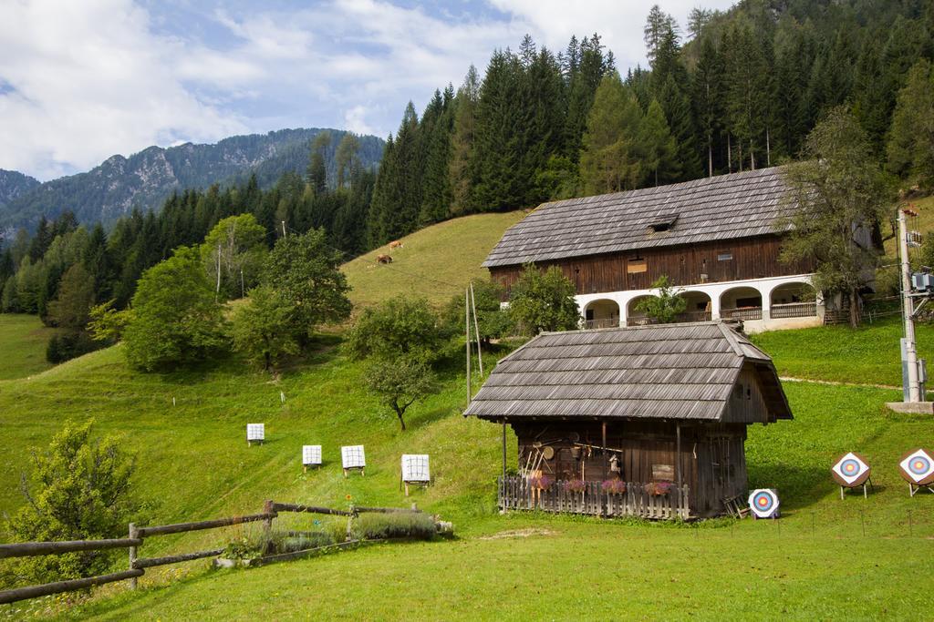 Tourist Farm Gradisnik Leilighet Solčava Eksteriør bilde