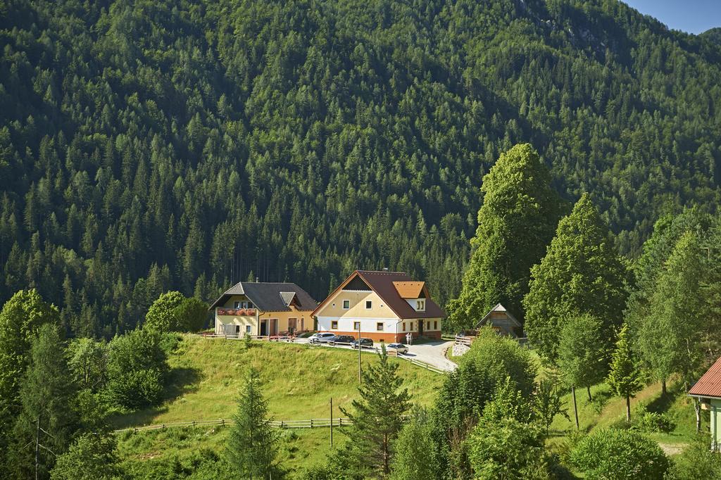Tourist Farm Gradisnik Leilighet Solčava Eksteriør bilde