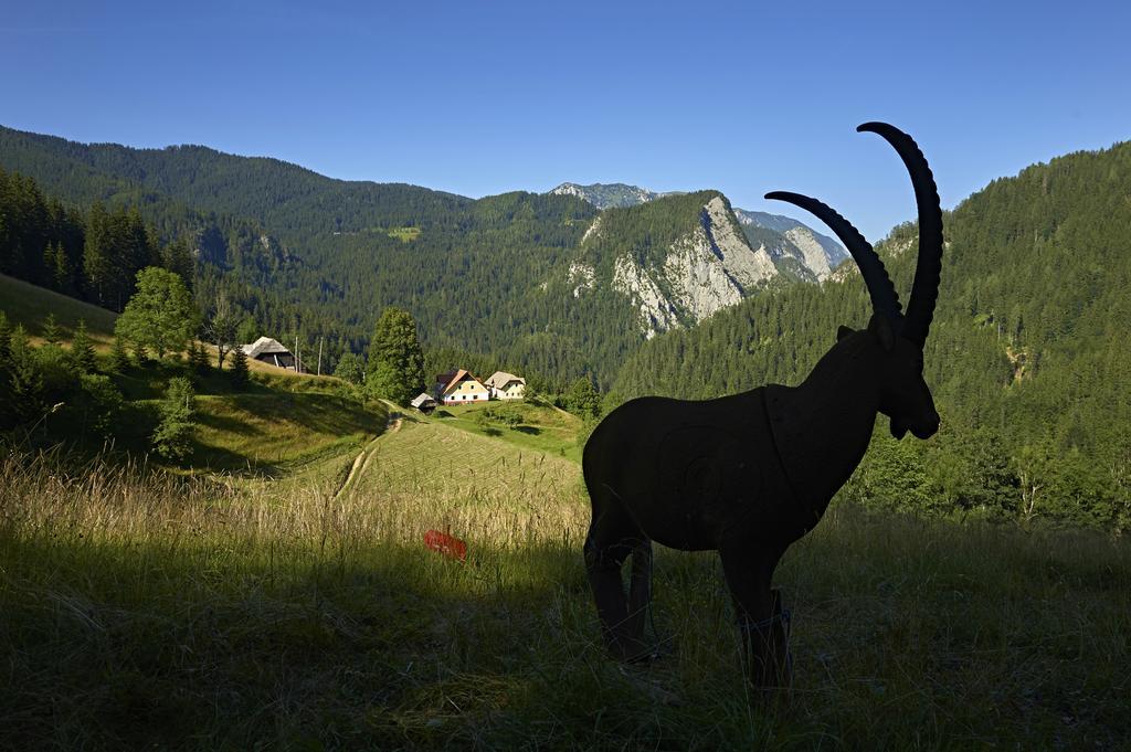 Tourist Farm Gradisnik Leilighet Solčava Eksteriør bilde