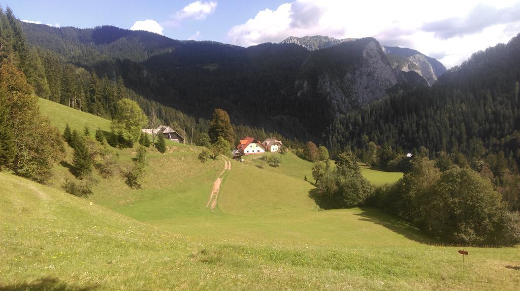 Tourist Farm Gradisnik Leilighet Solčava Eksteriør bilde